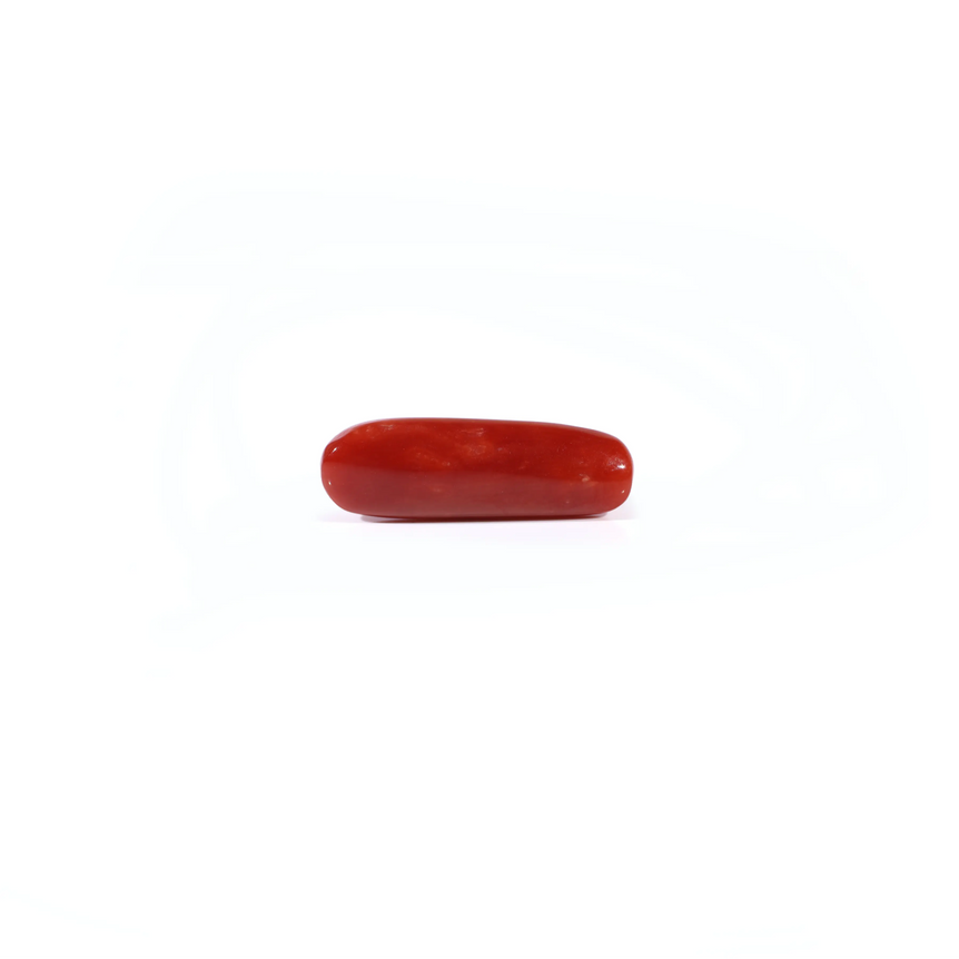 Red Coral - 4.25 Carat