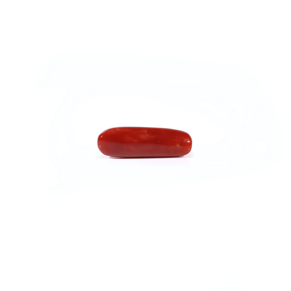 Red Coral - 4.25 Carat