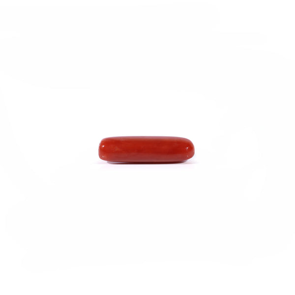 Red Coral - 4.25 Carat
