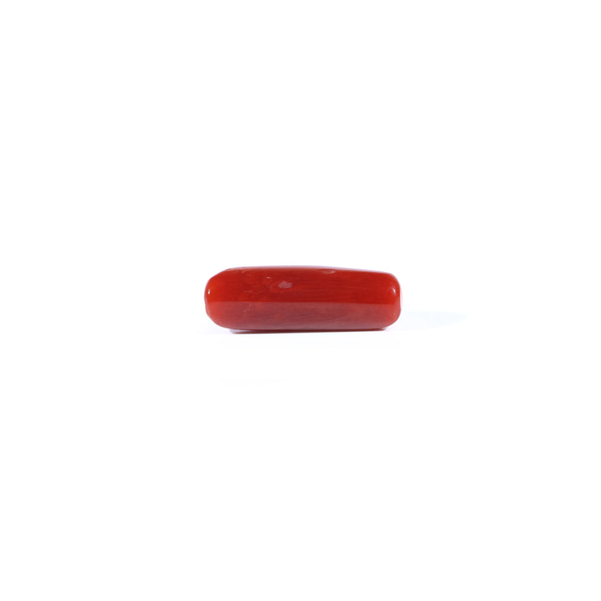 Red Coral - 4.37 Carat