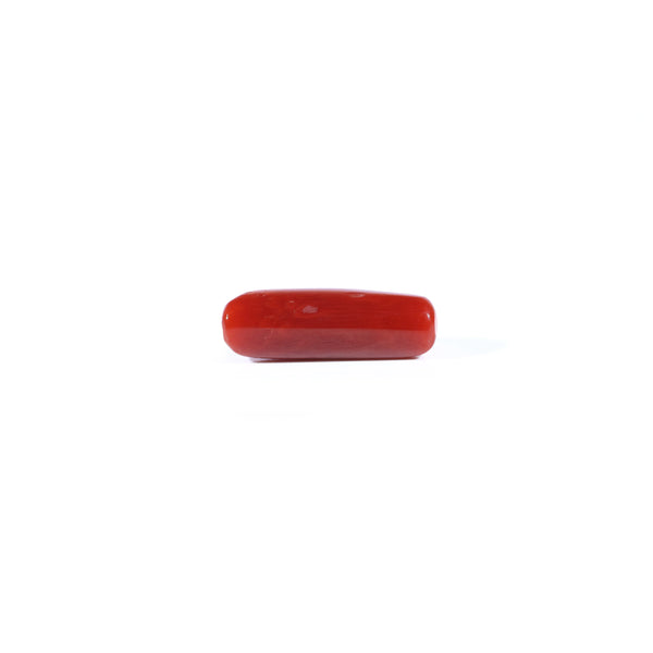 Red Coral - 4.37 Carat