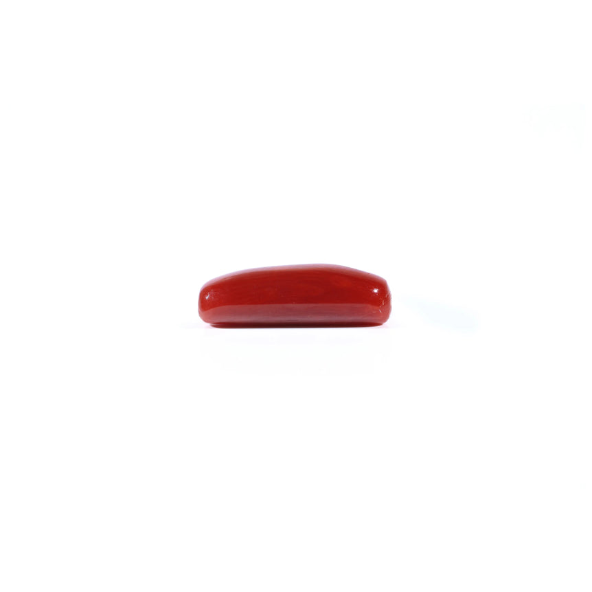 Red Coral - 4.37 Carat