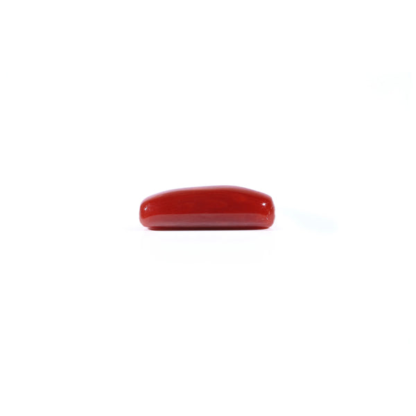 Red Coral - 4.37 Carat