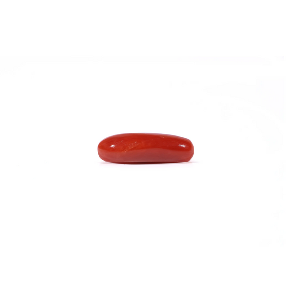 Red Coral - Moonga - 4.37 Carat - Pramogh