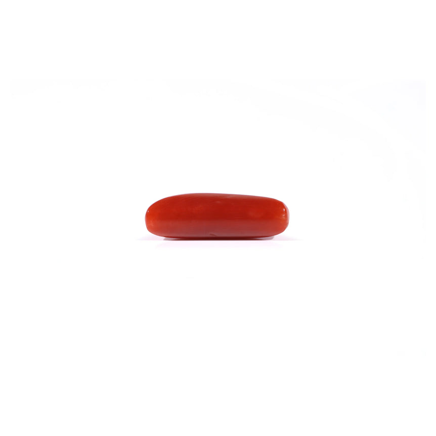 Red Coral - 4.37 Carat