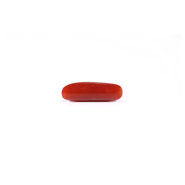 Red Coral - 4.37 Carat