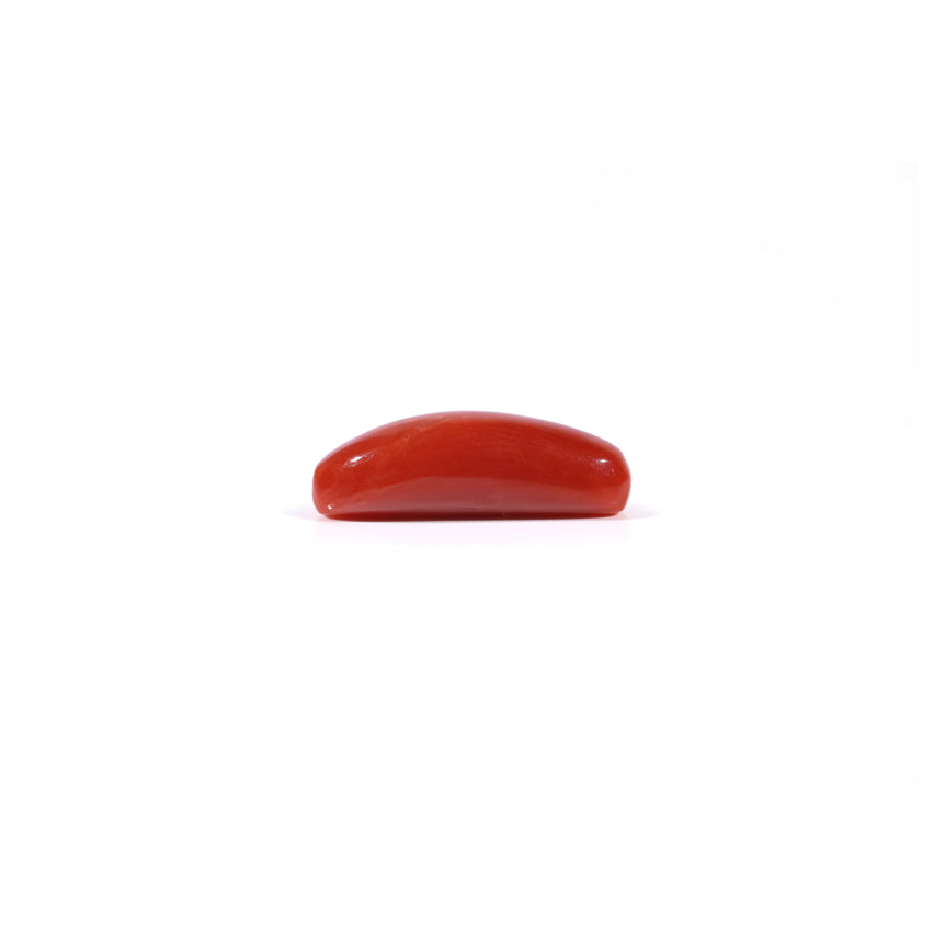 Red Coral - 4.37 Carat