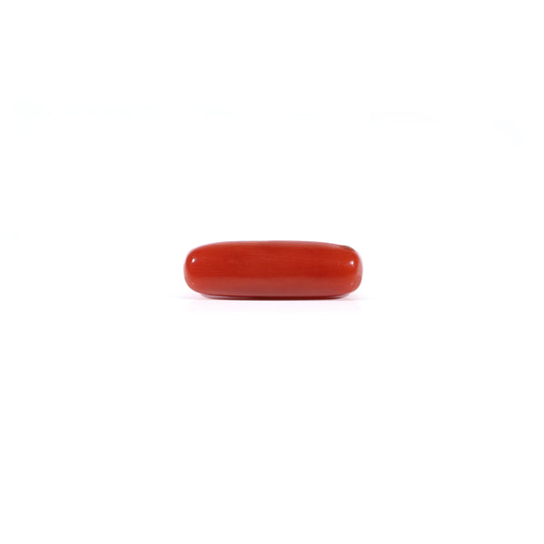 Red Coral - Moonga - 4.5 Carat - Pramogh