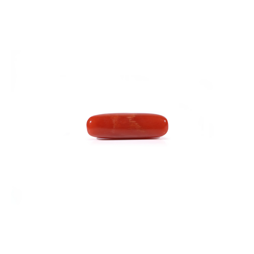 Red Coral - 4.5 Carat