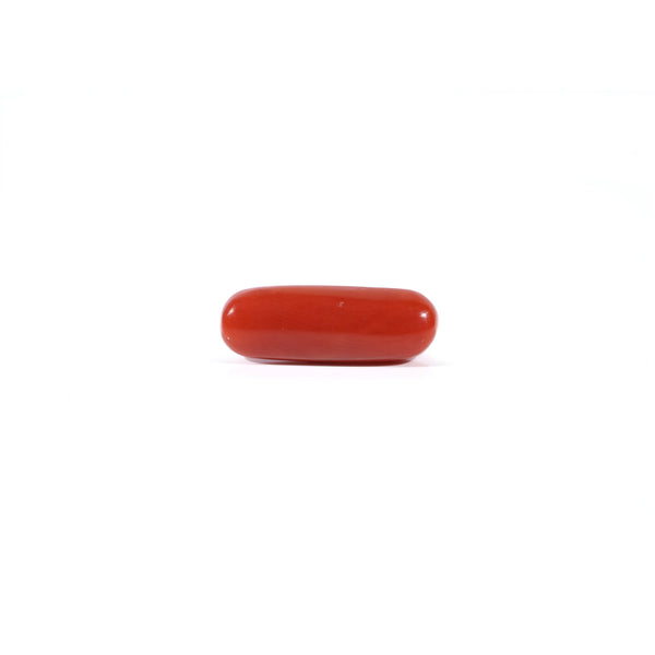 Red Coral - Moonga - 3.6 Carat - Pramogh