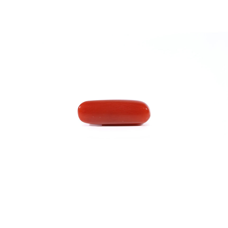 Red Coral - 3.6 Carat