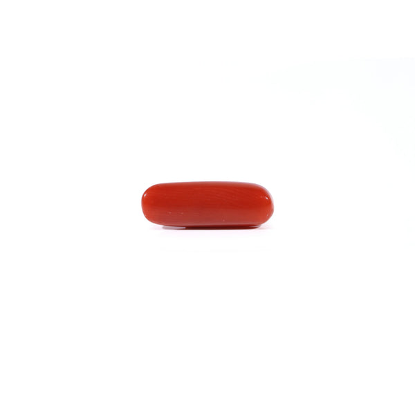 Red Coral - 3.6 Carat