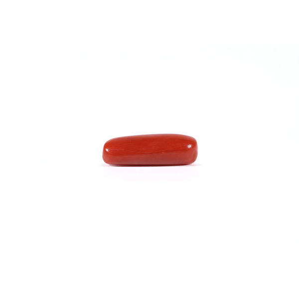 Red Coral - 3.6 Carat