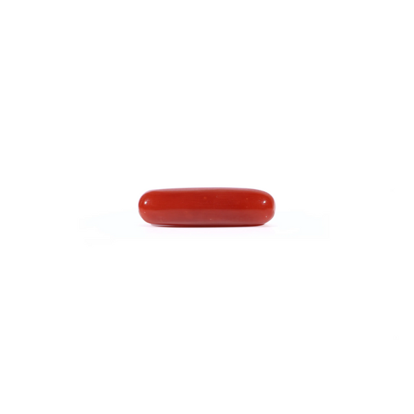 Red Coral - Moonga - 3.7 Carat - Pramogh