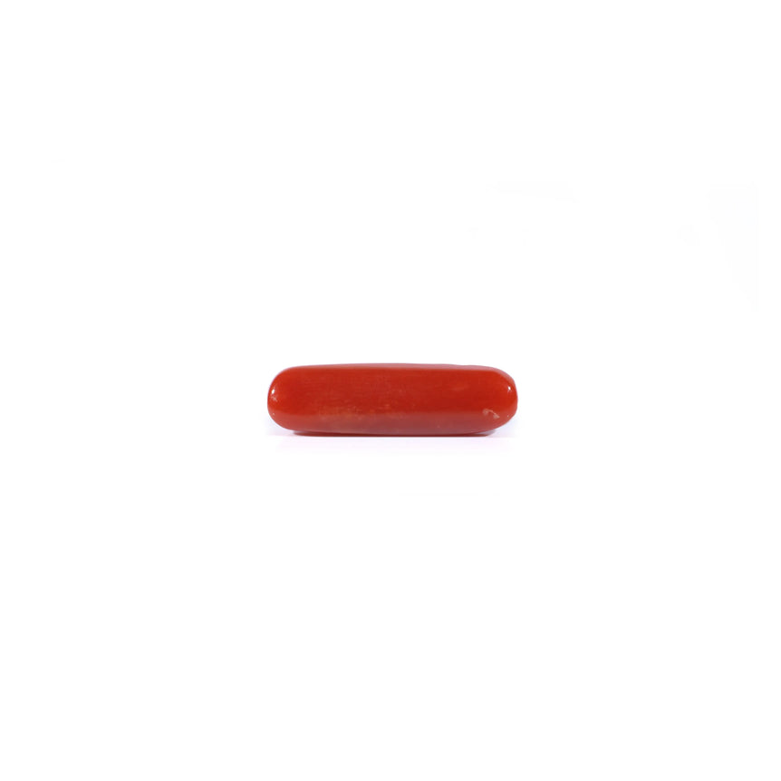 Red Coral - 3.7 Carat