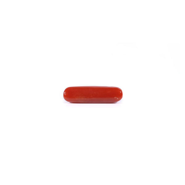 Red Coral - 3.7 Carat