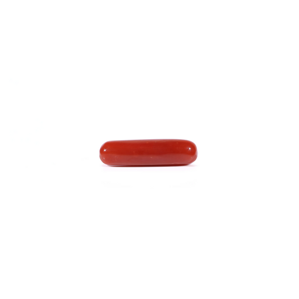 Red Coral - 3.7 Carat
