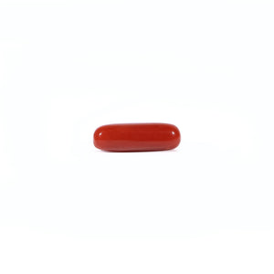 Red Coral - Moonga - 3.67 Carat - Pramogh