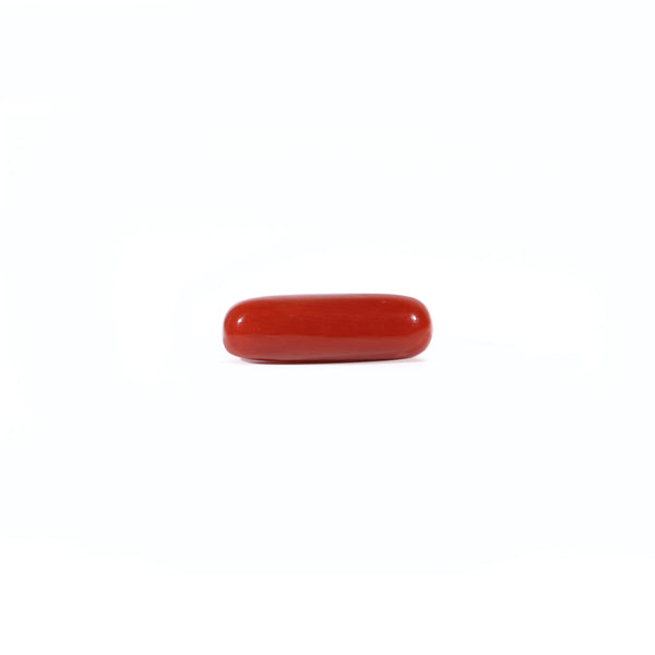 Red Coral - Moonga - 3.67 Carat - Pramogh