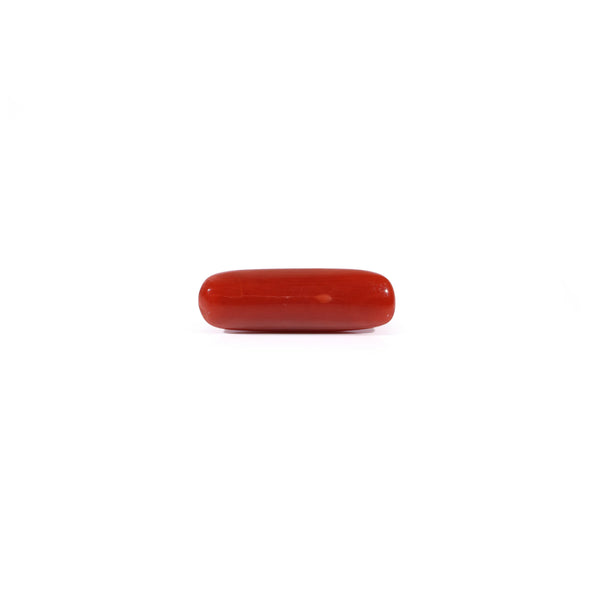 Red Coral - 3.67 Carat