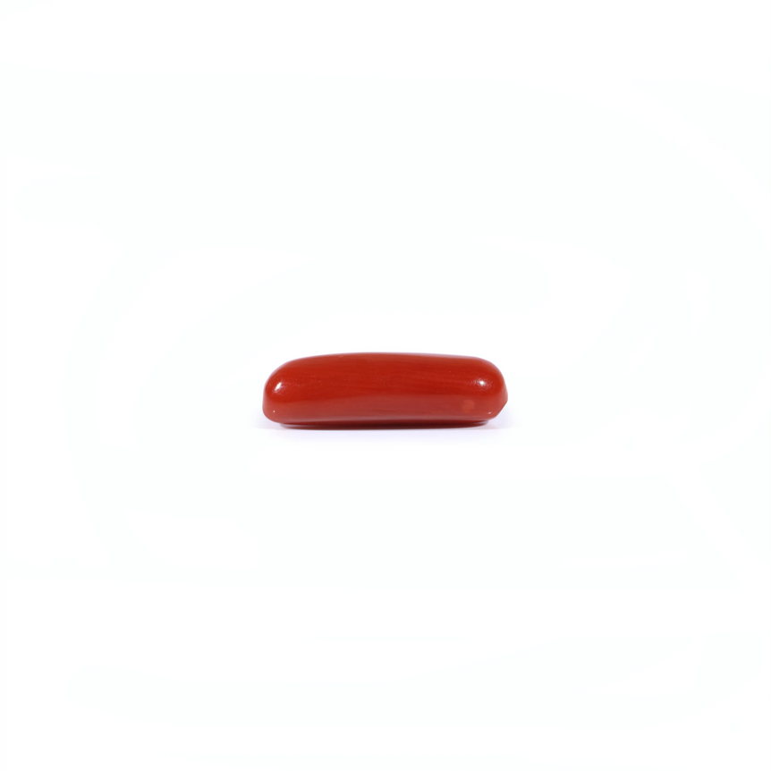 Red Coral - 3.67 Carat