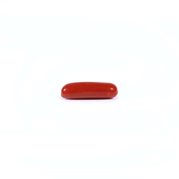 Red Coral - 3.67 Carat