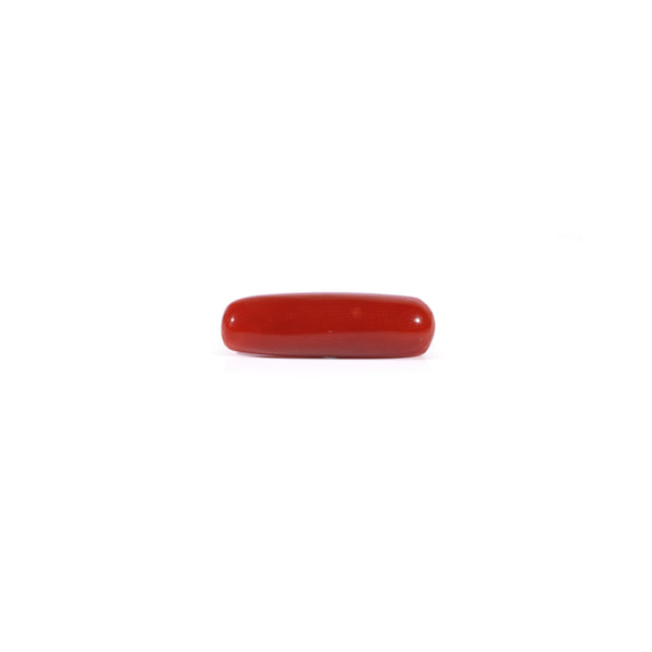 Red Coral - Moonga - 3.8 Carat - Pramogh