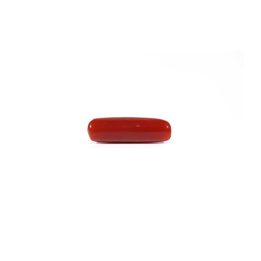 Red Coral - 3.8 Carat