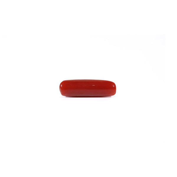 Red Coral - 3.8 Carat