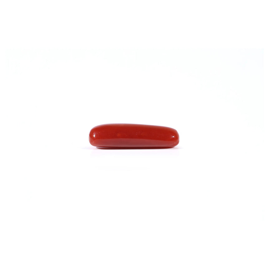 Red Coral - 3.8 Carat