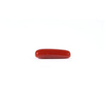 Red Coral - 3.8 Carat