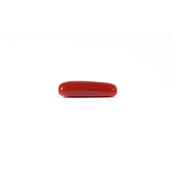Red Coral - 3.8 Carat