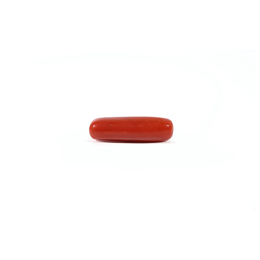 Red Coral - Moonga - 3.95 Carat - Pramogh