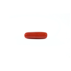 Red Coral - Moonga - 3.95 Carat - Pramogh