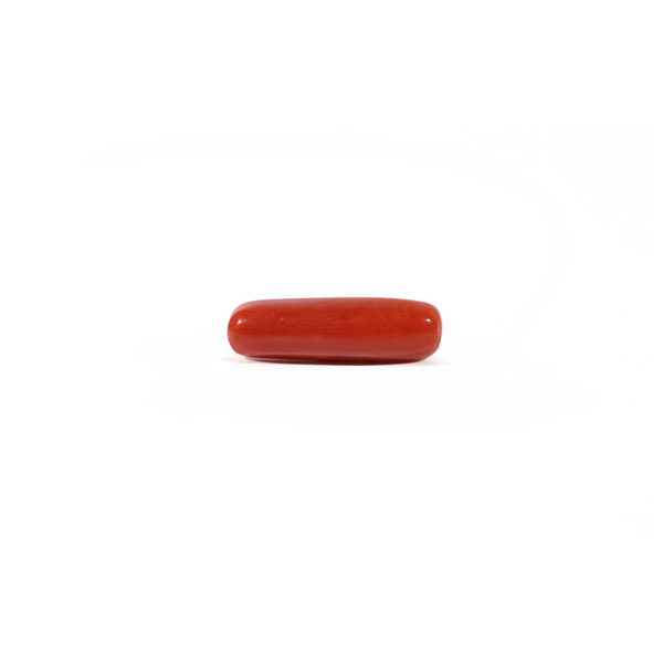 Red Coral - Moonga - 3.95 Carat - Pramogh