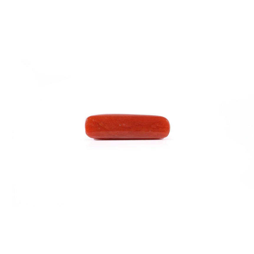 Red Coral - 3.95 Carat