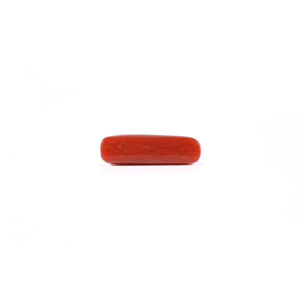 Red Coral - 3.95 Carat