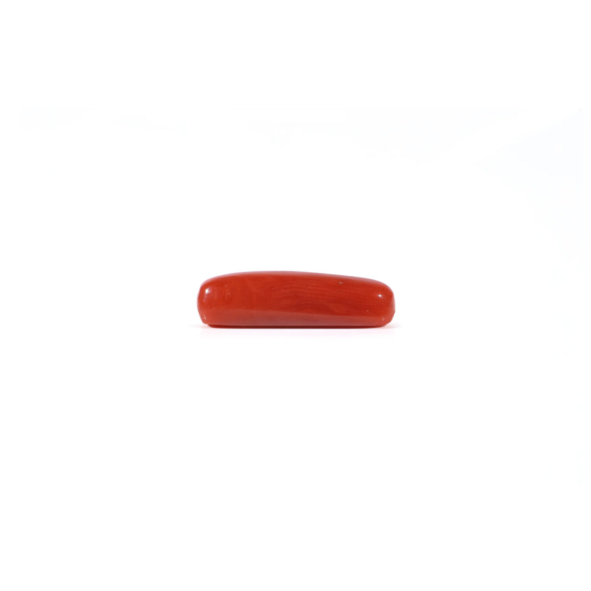 Red Coral - 3.95 Carat