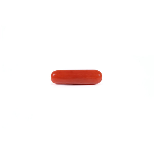 Red Coral - Moonga - 3.3 Carat - Pramogh