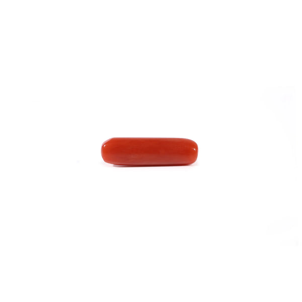 Red Coral - 3.3 Carat