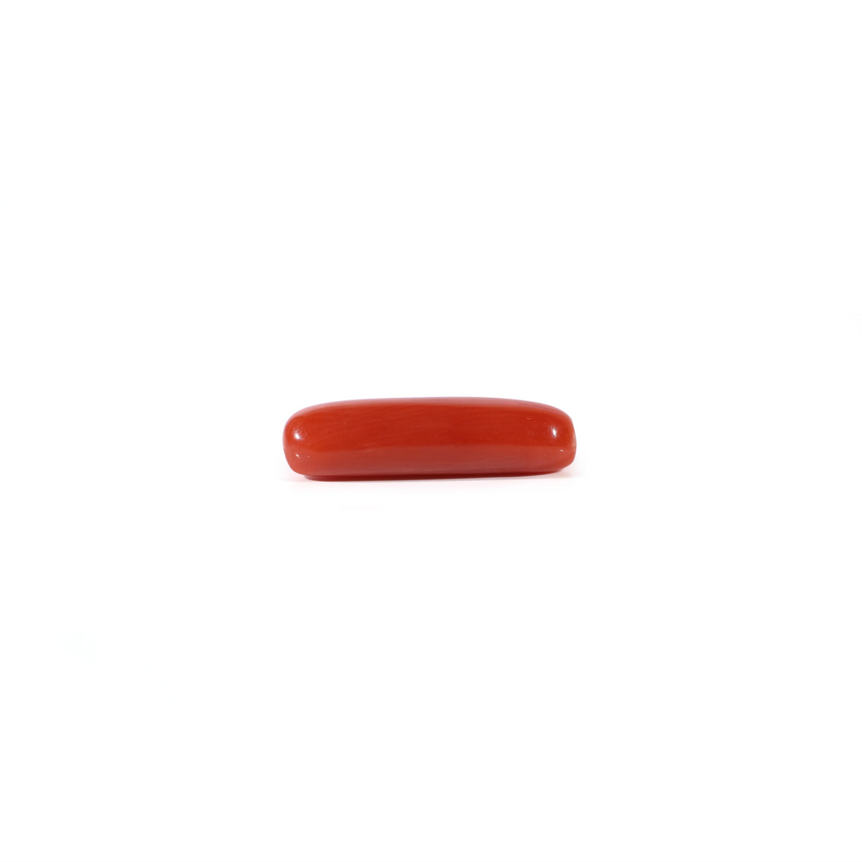 Red Coral - 3.3 Carat