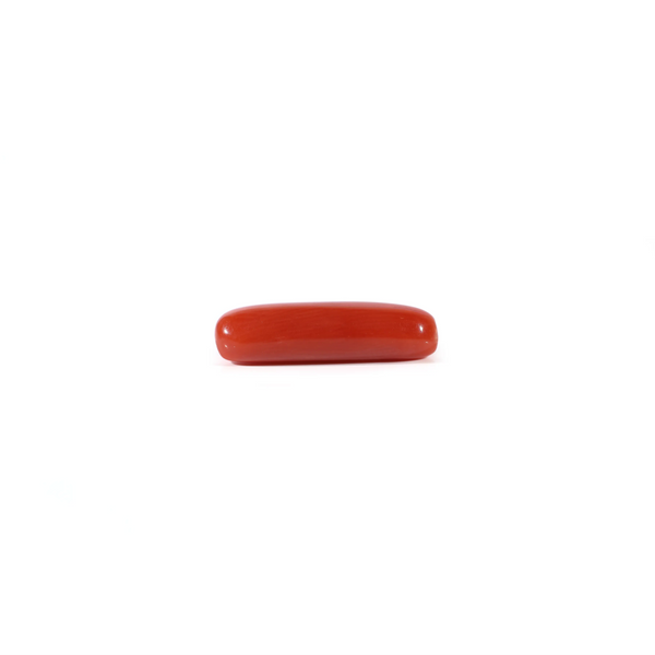 Red Coral - 3.3 Carat
