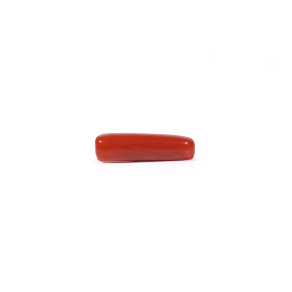 Red Coral - 3.4 Carat