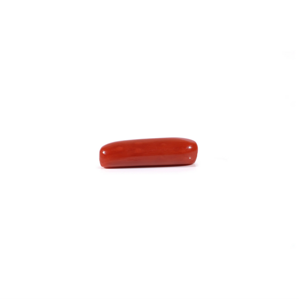 Red Coral - 3.4 Carat