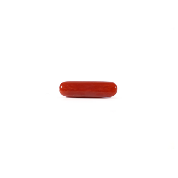 Red Coral - 3 Carat