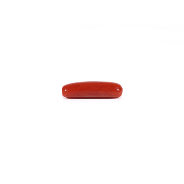Red Coral - 3 Carat