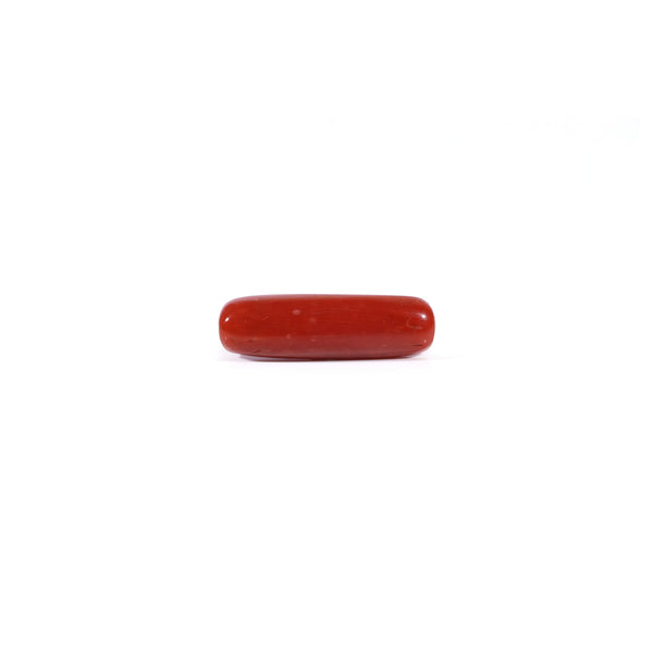 Red Coral - Moonga - 3.6 Carat - Pramogh