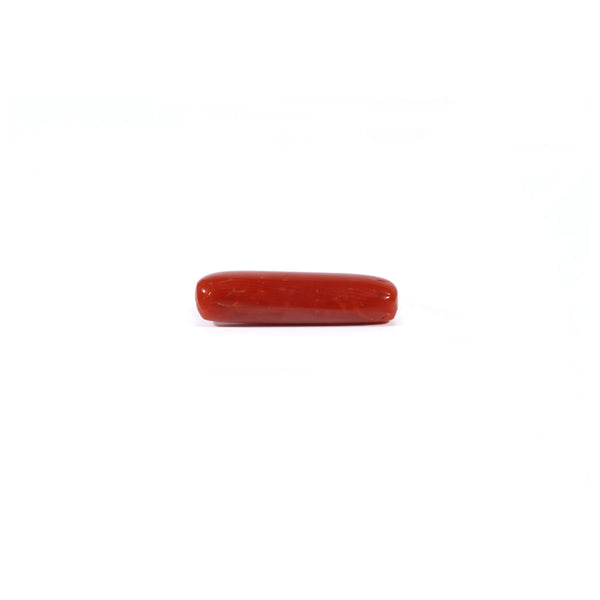 Red Coral - 3.6 Carat