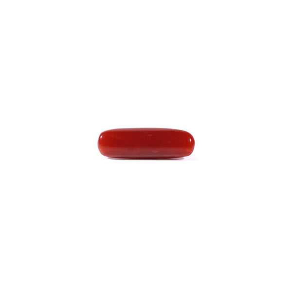 Red Coral - 4.08 Carat