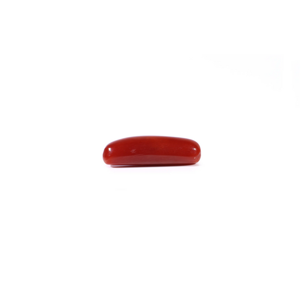 Red Coral - 4.08 Carat